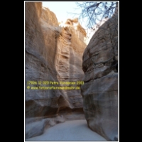 17926 12 020 Petra Jordanien 2011.jpg